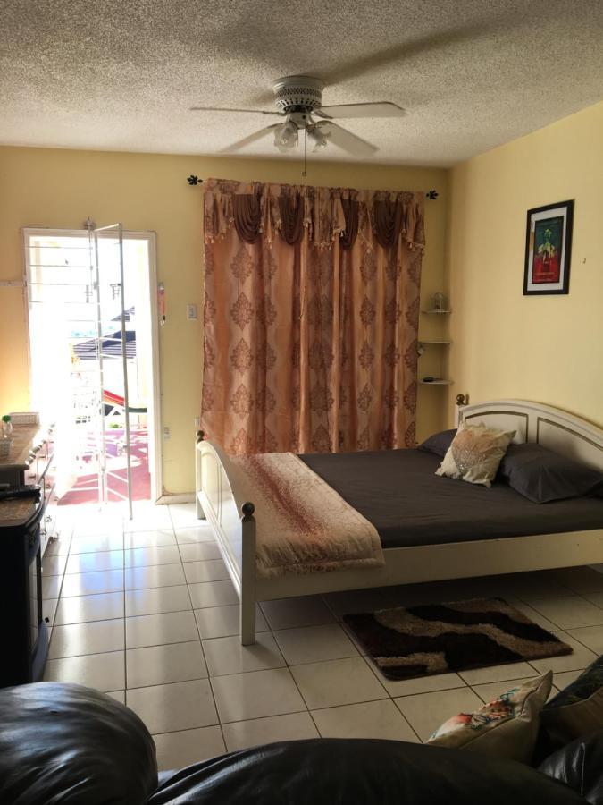 #D1 Castle Studio Wifi King Bed Ocho Rios Jamaica מראה חיצוני תמונה