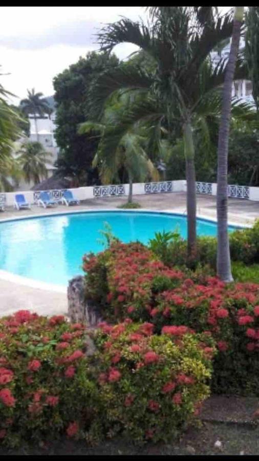 #D1 Castle Studio Wifi King Bed Ocho Rios Jamaica מראה חיצוני תמונה